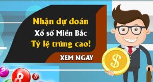 cầu chuẩn dự đoán víp đề đầu đuôi miền bắc