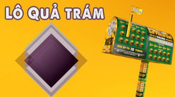 Lô quả trám